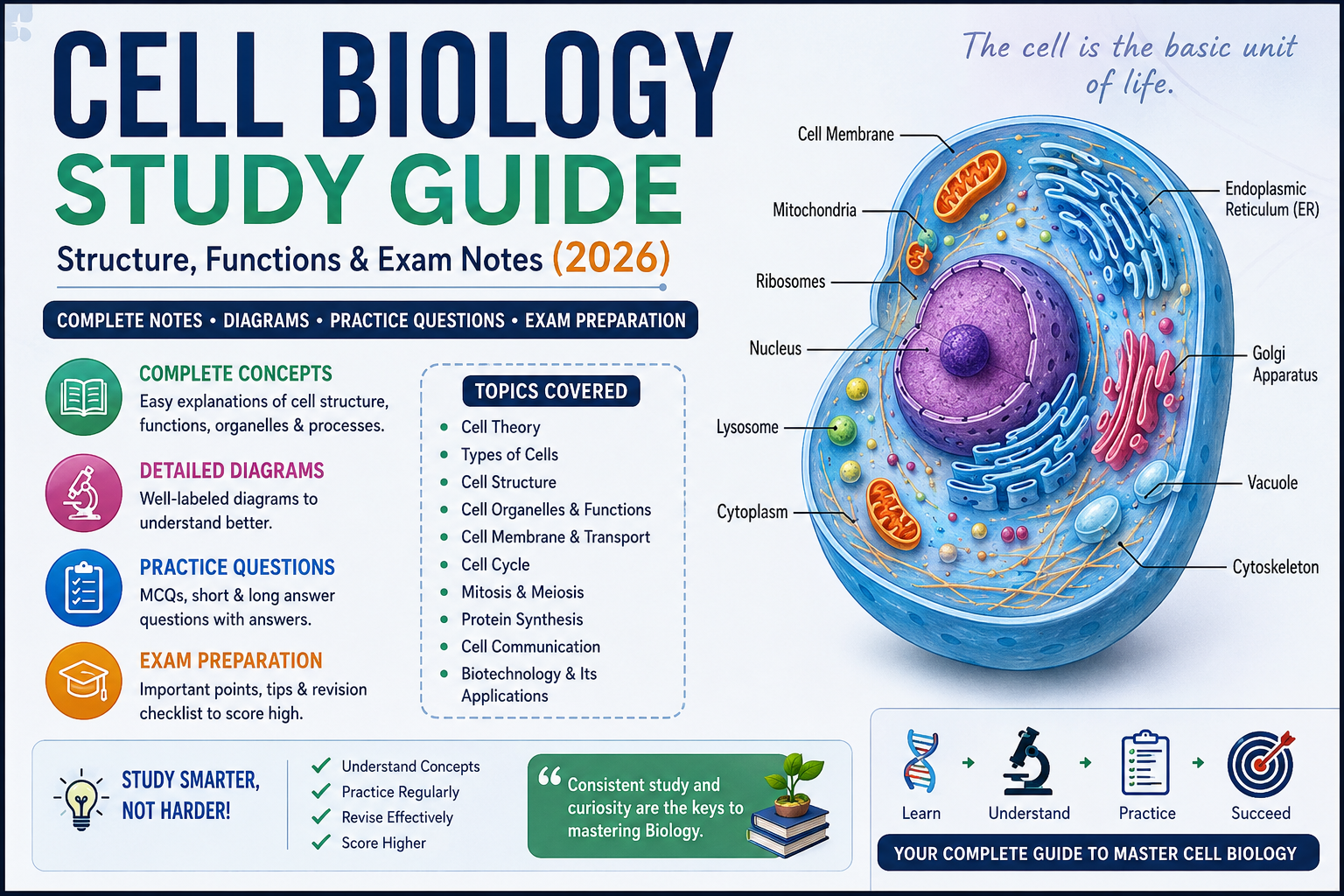 Cell biology study guide showing labeled animal cell, plant cell diagrams, organelle functions, and mitosis stages for high school and college students