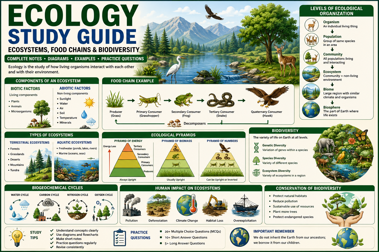 Ecology study guide showing food chain diagrams, trophic level pyramids, biodiversity charts, and ecosystem relationships for high school and college biology students