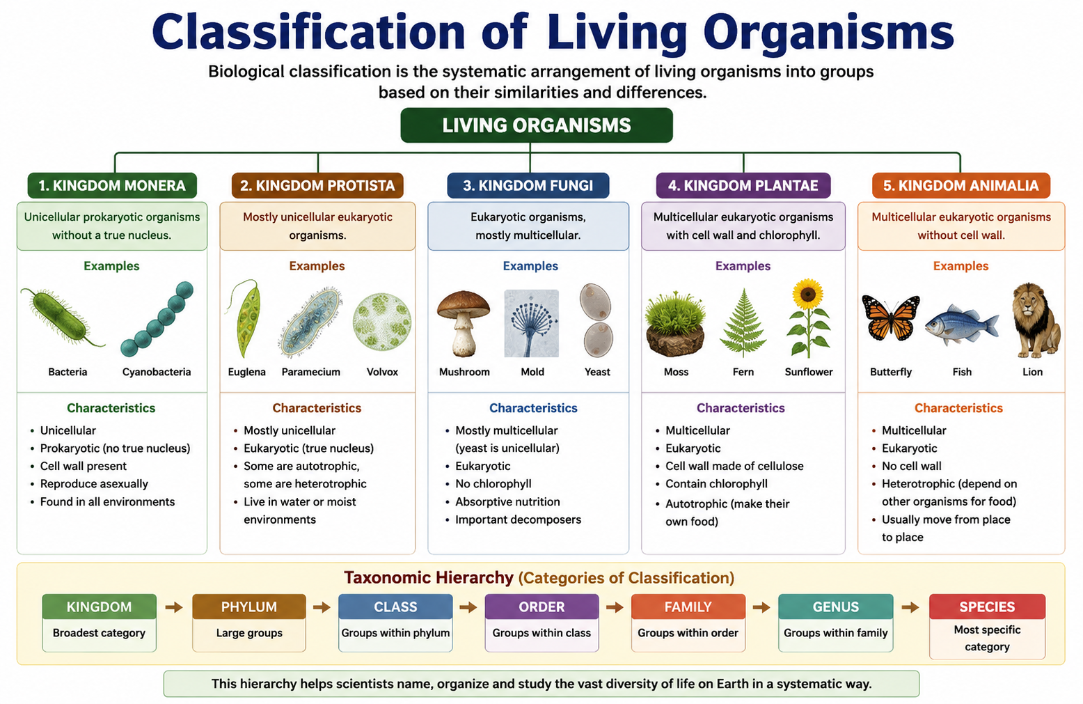 Classification of Living Organisms Study Guide
