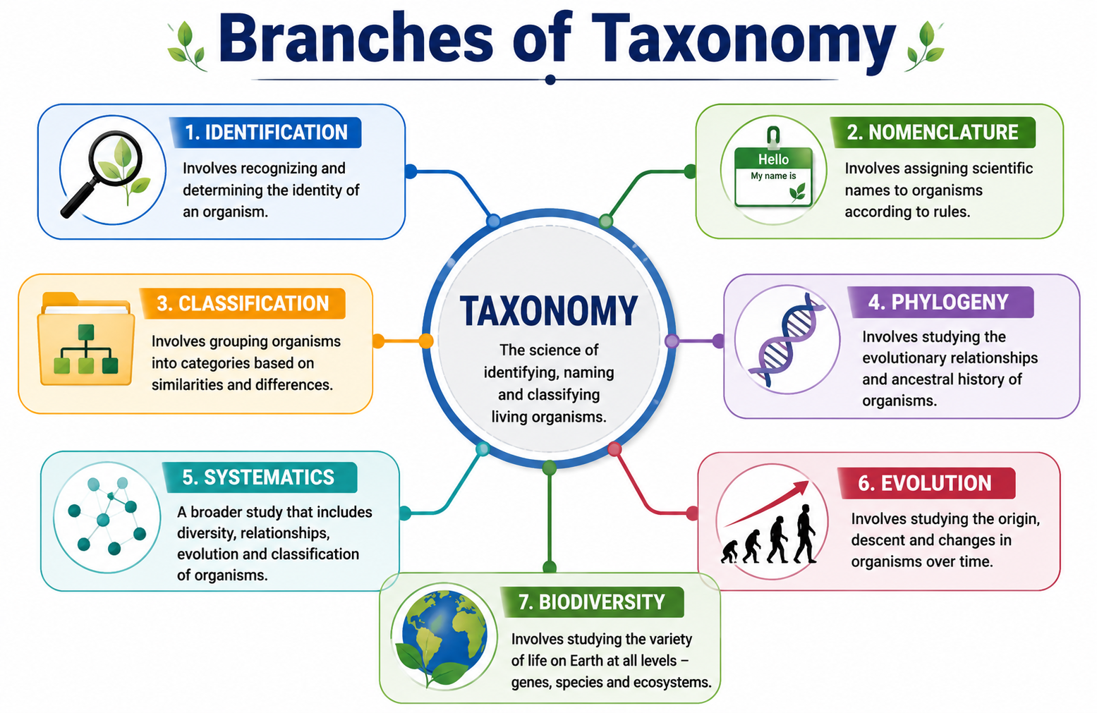 Branches of Taxonomy
