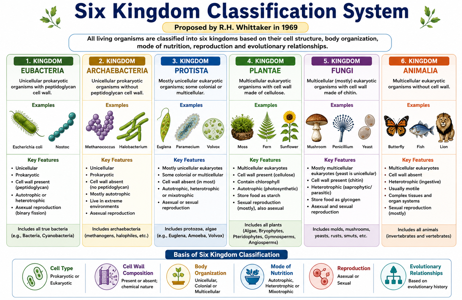 Six Kingdom Classification System