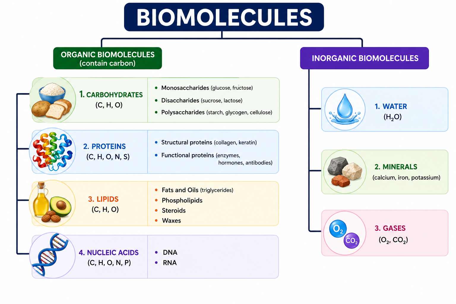 Classification of Biomolecules