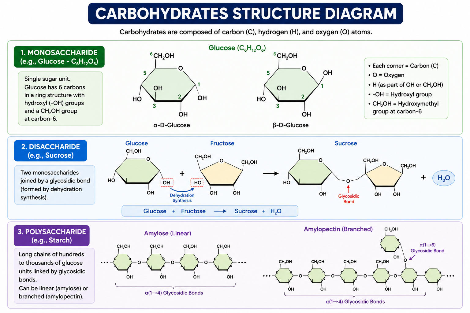 Carbohydrates