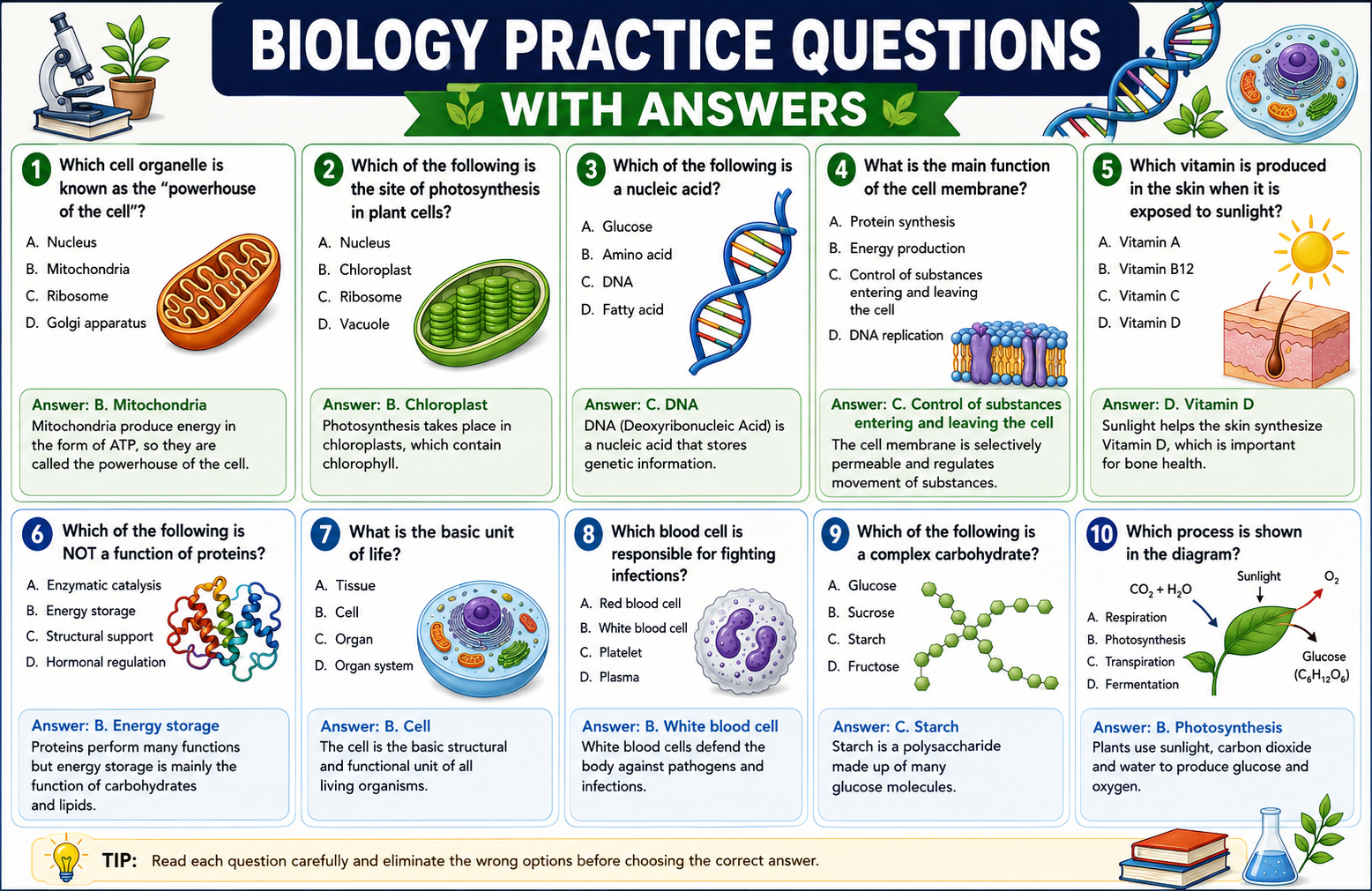 Biology Practice Questions with Answers: 200+ MCQs for Exam Preparation