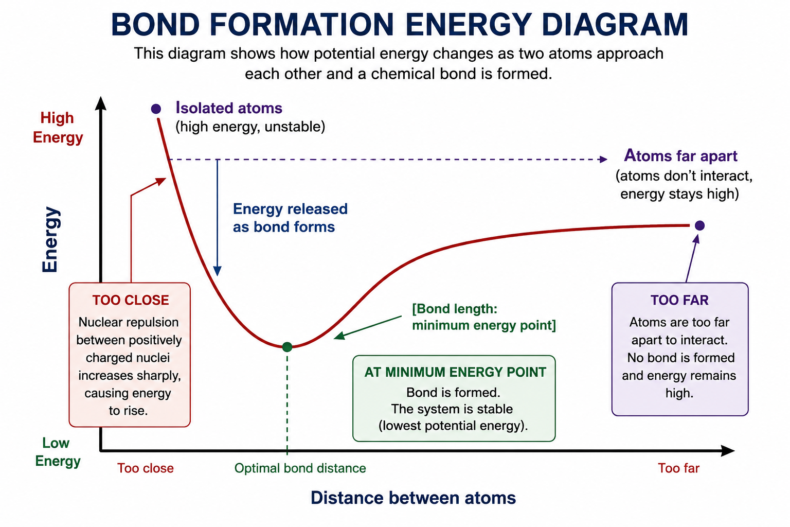 Atoms Form Chemical Bonds
