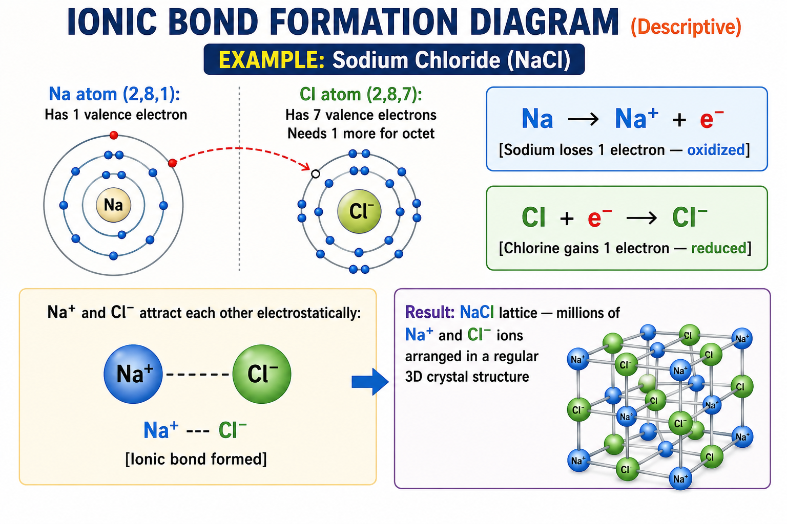 Atoms Form Chemical Bonds