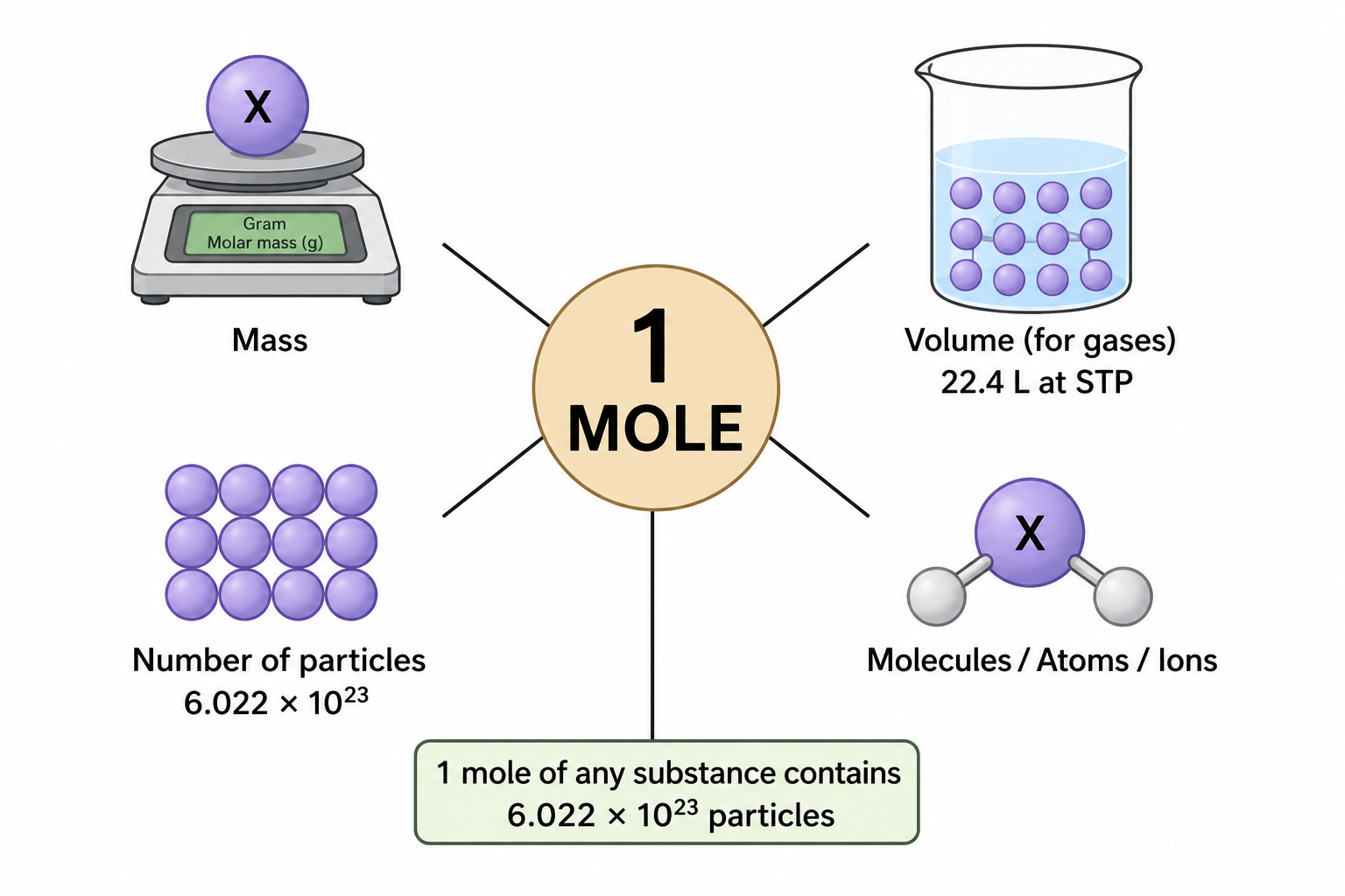 Mole Concept