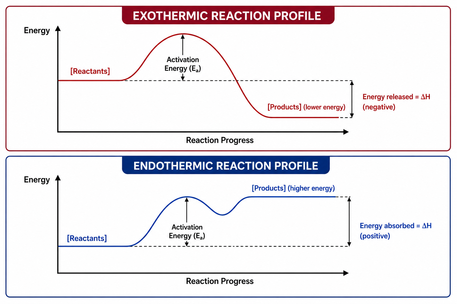 Exothermic vs Endothermic Reactions