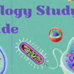 Biology Study Guide