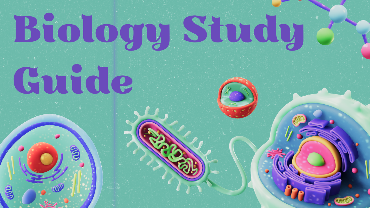 Biology Study Guide: Complete Notes, Topics, Practice Questions & Exam Preparation (2026)