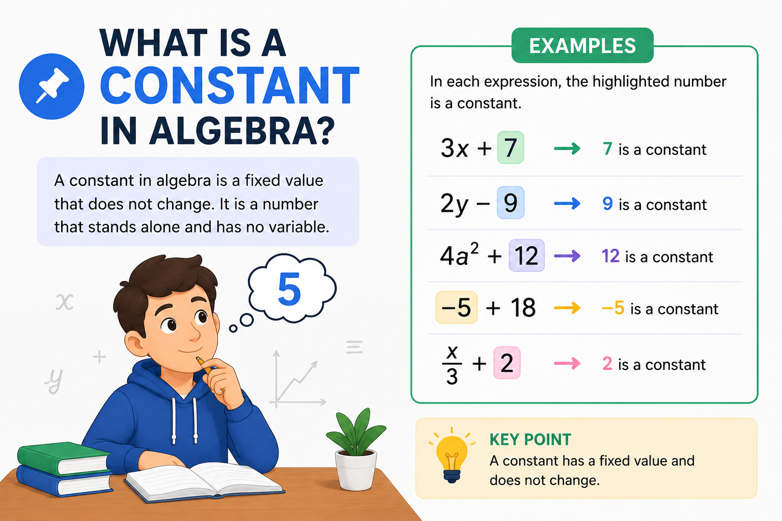What Is a Constant in Algebra?