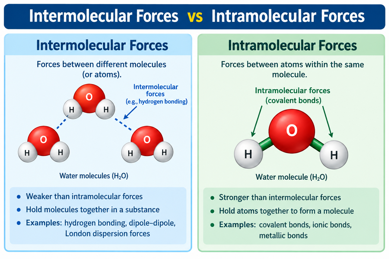 Intermolecular Forces vs Intramolecular Forces: 2026 Guide